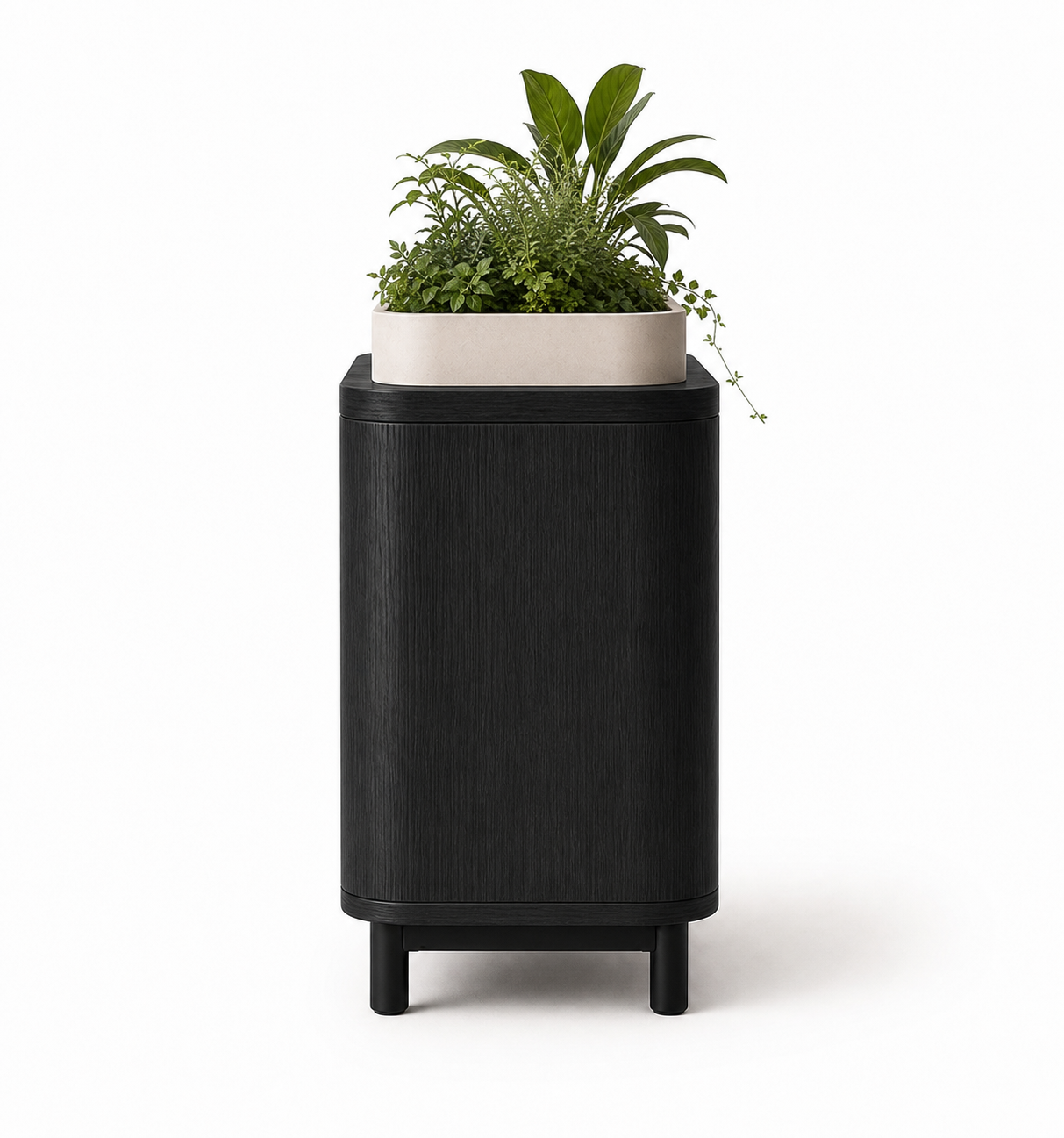Cat Bed Planter UAE | Rumi Planter Nest