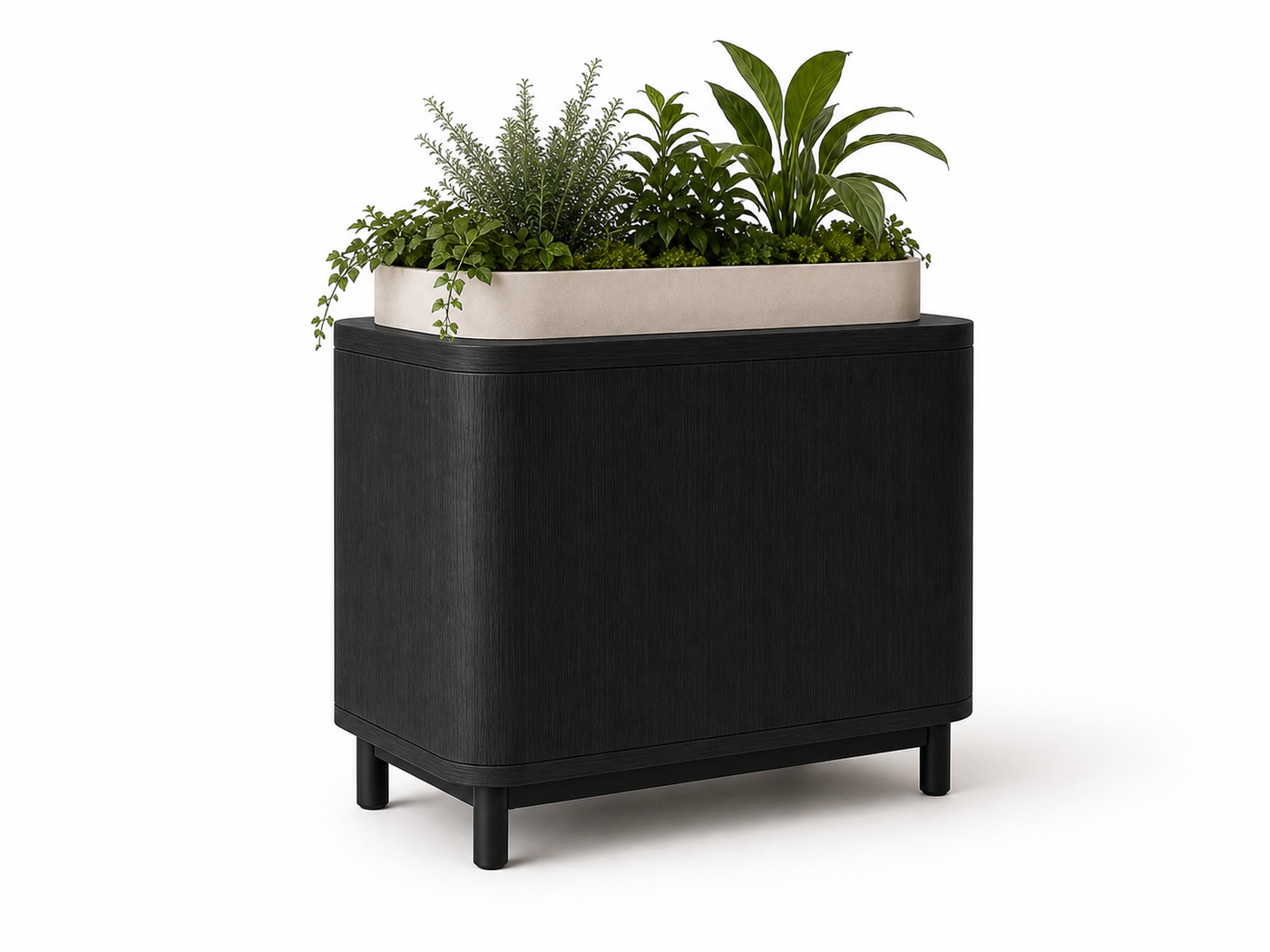 Cat Bed Planter UAE | Rumi Planter Nest