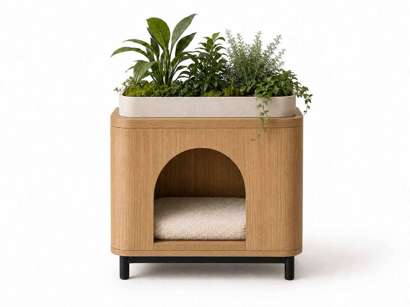 Cat Bed Planter UAE | Rumi Planter Nest