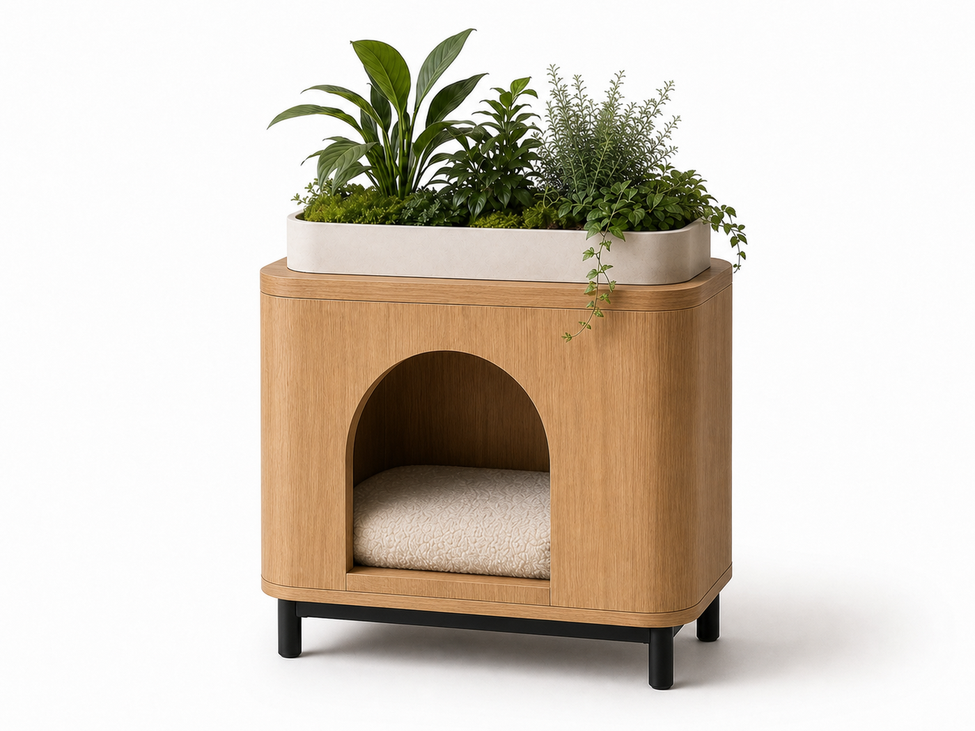 Cat Bed Planter UAE | Rumi Planter Nest
