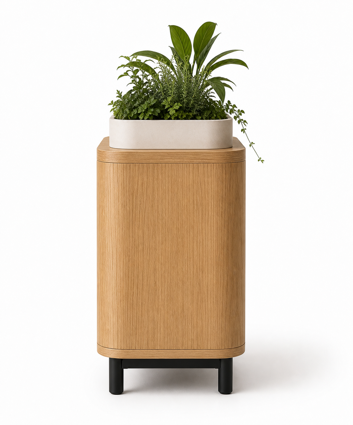 Cat Bed Planter UAE | Rumi Planter Nest
