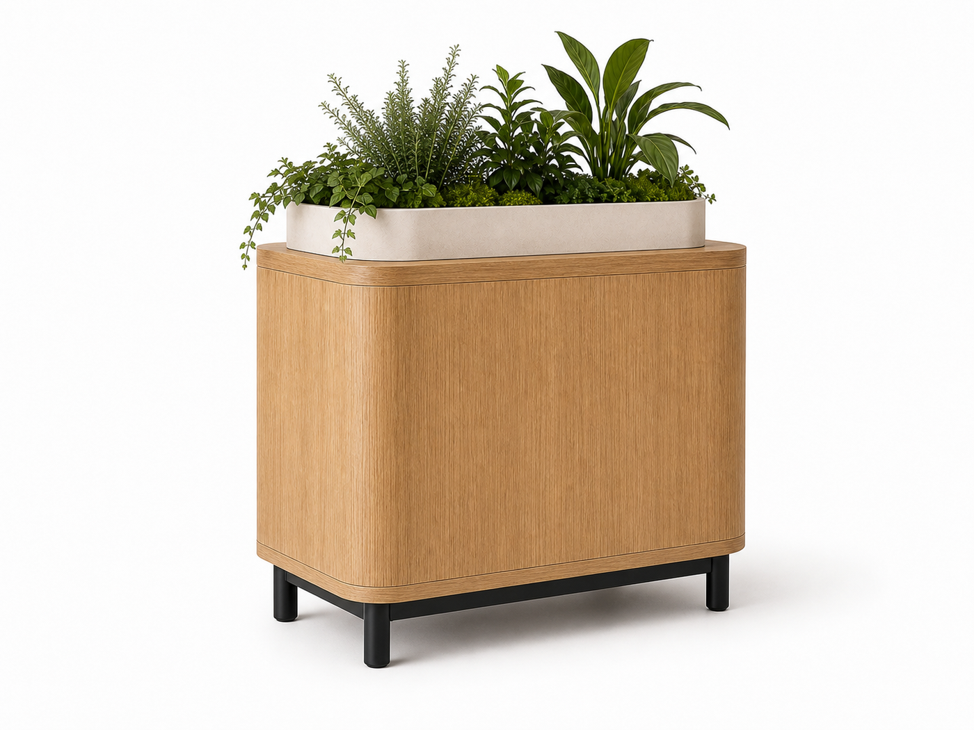 Cat Bed Planter UAE | Rumi Planter Nest