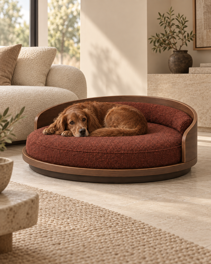 Golden retriever resting in the Orbit round walnut dog bed with rust-brown upholstery in a warm living room.